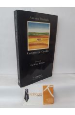 CAMPOS DE CASTILLA