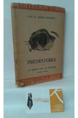 PREHISTORIA I, LA EDAD DE LA PIEDRA